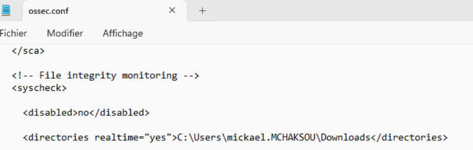 Configuration agent Wazuh 2